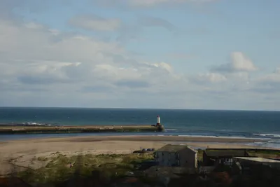 DSC_7236 (Large).JPG